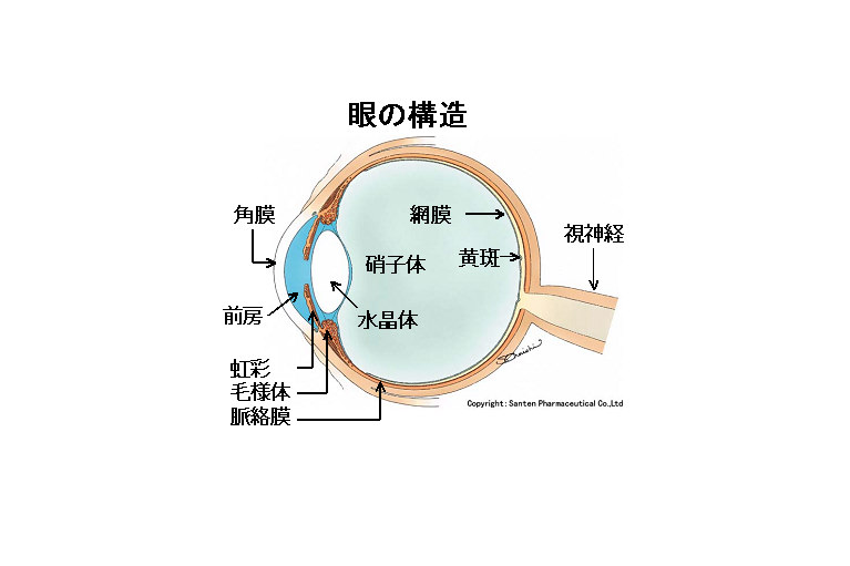 白内障手術